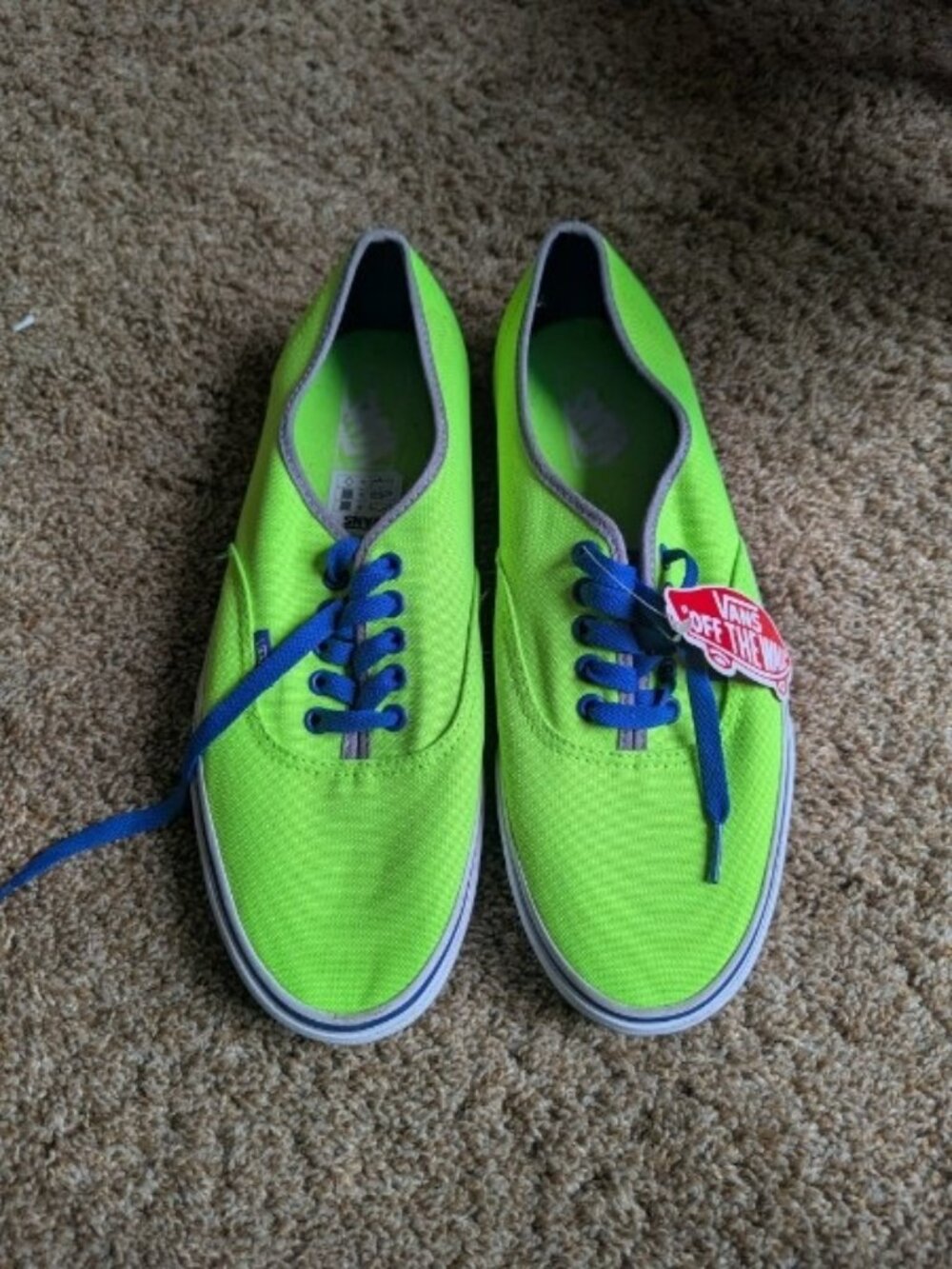 Neon Green and Blue Low-Top Vans, Mens 10.5